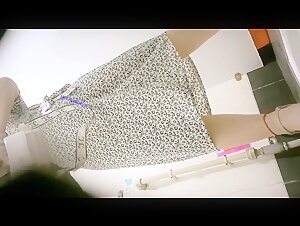 商场女厕全景偷拍眼镜御姐的肥美大黑B